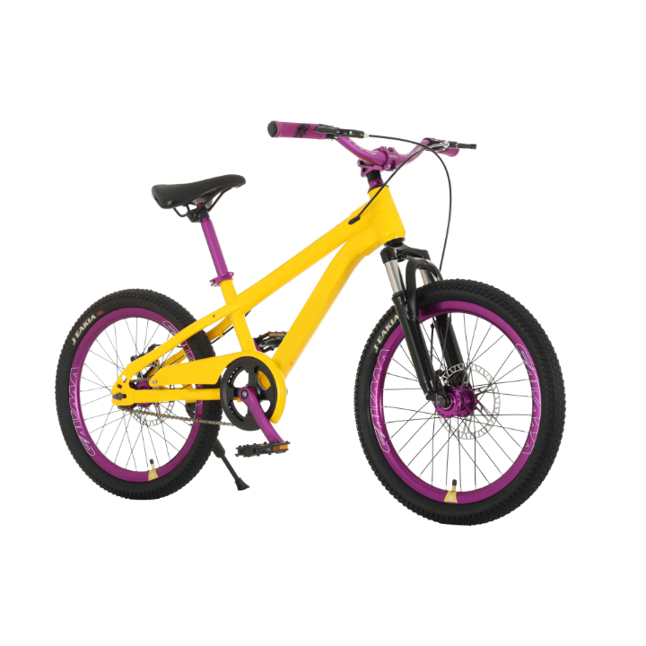 Bike Type