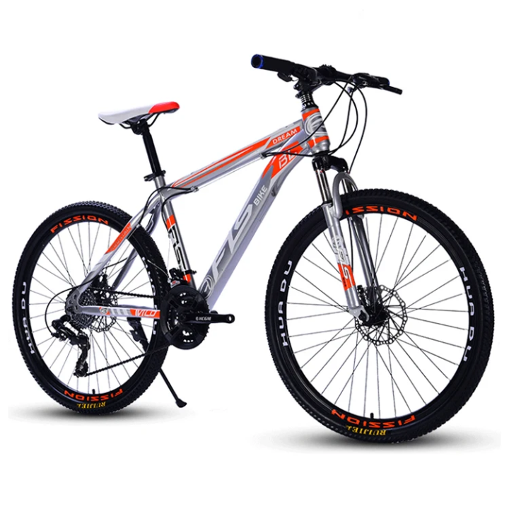 Type Bike 13