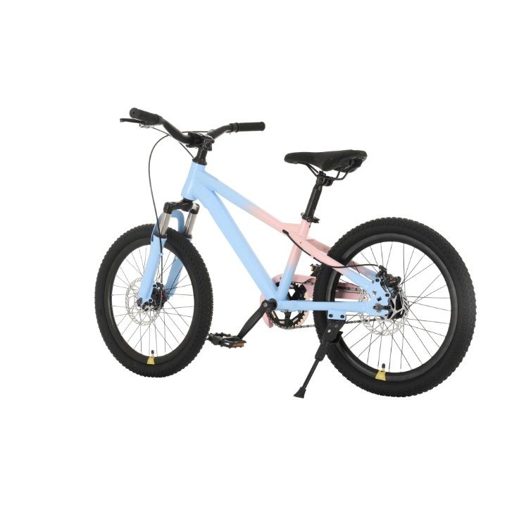 Type Bike 2